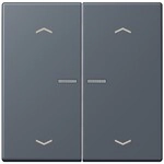 Jung Wippe mit Lichtleiter LC 102 KO5P 262 LC102KO5P262