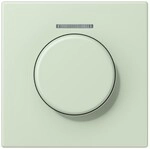 Jung Abdeckung mit Lichtleiter LC 1940 KO5 218 LC1940KO5218