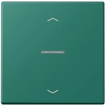 Jung Wippe mit Lichtleiter LC 101 KO5P 216 LC101KO5P216