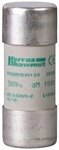 10 Stk. Schneider Electric Sicherung DF2FA63