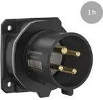 Walther Werke CEE NEO Anbauger&auml;testecker FW630401CC