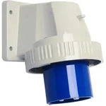 Walther Werke Anbauger&auml;testecker 16A 619409