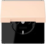 Jung SCHUKO Steckdose LC 1520 BFKIKL 228 LC1520BFKIKL228
