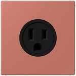 Jung Steckd NEMA15 LC 521-15 236 LC521-15236