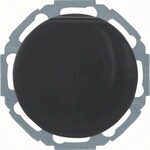 Hager Steckdose WLS1211BG