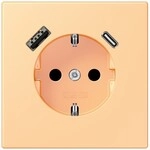 Jung SCHUKO Steckdose LC 1520-15 CA 258 LC1520-15CA258
