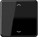 Jung Steuertaste Standard CD 1700 P SW CD1700PSW