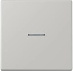 Jung Wippe 1fach m. Lichtleiter LC 990 KO5 205 LC990KO5205