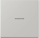 Jung Wippe mit Lichtleiter LC 101 KO5 205 LC101KO5205
