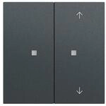 Gira Taster Wippe 2f 517573