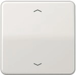 Jung Steuertaste Standard CD 1700 P LG CD1700PLG