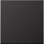 Jung Steuertaste Standard AL 1700 D AL1700D