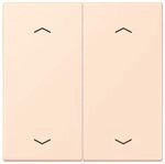 Jung Wippe mit Pfeilsymbolen LC 102 P 226 LC102P226