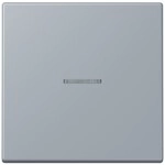 Jung Wippe mit Lichtleiter LC 101 KO5 257 LC101KO5257