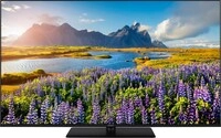 Panasonic QLED-TV TV-65W85BEZC
