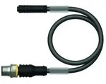 Turck Aktuator- u. Sensorleitung PKGC4.5S1RSW#6635775