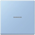 Jung Wippe mit Lichtleiter LC 101 KO5 207 LC101KO5207