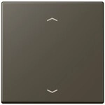 Jung Wippe mit Pfeilsymbolen LC 101P 241 LC101P241