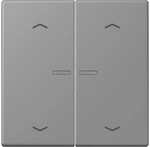 Jung Wippe mit Lichtleiter LC 102 KO5P 203 LC102KO5P203