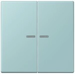 Jung Wippe mit Lichtleiter LC 102 KO5 214 LC102KO5214