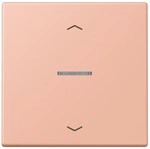 Jung Wippe mit Lichtleiter LC 101 KO5P 231 LC101KO5P231