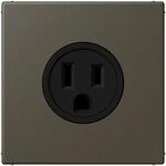 Jung Steckd NEMA15 LC 521-15 241 LC521-15241