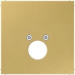 Jung Abdeckung Mess/clas ME 2962-1 C ME2962-1C