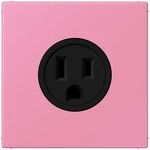 Jung Steckd NEMA15 LC 521-15 246 LC521-15246
