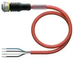 Turck Aktuator- u. Sensorleitung RKC4.4T-12.5/TXO3700 6633014