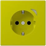 Jung SCHUKO Steckdose BT LC 1521 S 249 BTLC1521S249