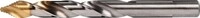 10 Stk. Tecwerk Spiralbohrer DIN 338 TypN D.4.2 Zyl.schaft HSS