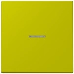 Jung Wippe mit Lichtleiter LC 101 KO5 249 LC101KO5249