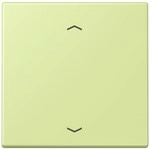 Jung Wippe 1fach m. Pfeilsymb. LC 990 P 222