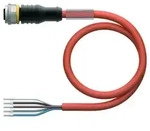 Turck Aktuator- u. Sensorleitung RKC4.5T-8/TXO3700