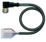 Turck Aktuator- u. Sensorleitung WKC12T-15/TXL