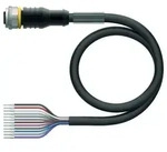 Turck Aktuator- u. Sensorleitung RKC12T-30/TXL
