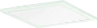 Ridi-Leuchten Dekorglasscheibe DQ235-SO-G-D-W 0204165
