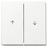 Gira Wippe 2f Pfeil 329466