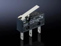 Rittal Mikroschalter SV 3071.000 (VE5) 3071000