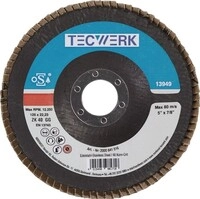 10 Stk. Tecwerk F&auml;cherscheibe D.125mm K.80 fl.INOX ZK