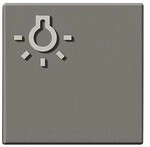 Siedle&S&ouml;hne Taste m.Lichtsymbol titan 200029099-00