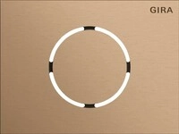 Gira Frontpl. T&uuml;rstationsmodul 5579921