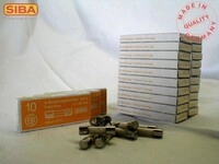 100 Stk. Siba G-Sicherung M 4A 172100 172100.4