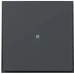 Gira Wippe gerade Kontrollf. 349067