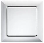 Eltako Wipptaster WT55-rw 30000622