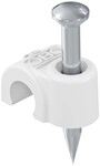 100 Stk. OBO Bettermann Iso-Nagel-Clip 2006 25 RW 2225417