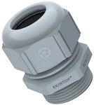 Lapp Zubeh&ouml;r SKINTOP-ST-PG-29-RAL ST Pg29 R7001 SGY 53015060