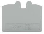 100 Stk. WAGO GmbH & Co. KG Abschlussplatte 2050-1291