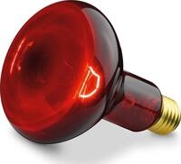 Beurer Zubeh&ouml;r f.Infrarotlampe SIL06/IL11 Ers. 61451