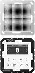 Jung Smart DAB+ Digitalradio DAB A1 BT WW DABA1BTWW